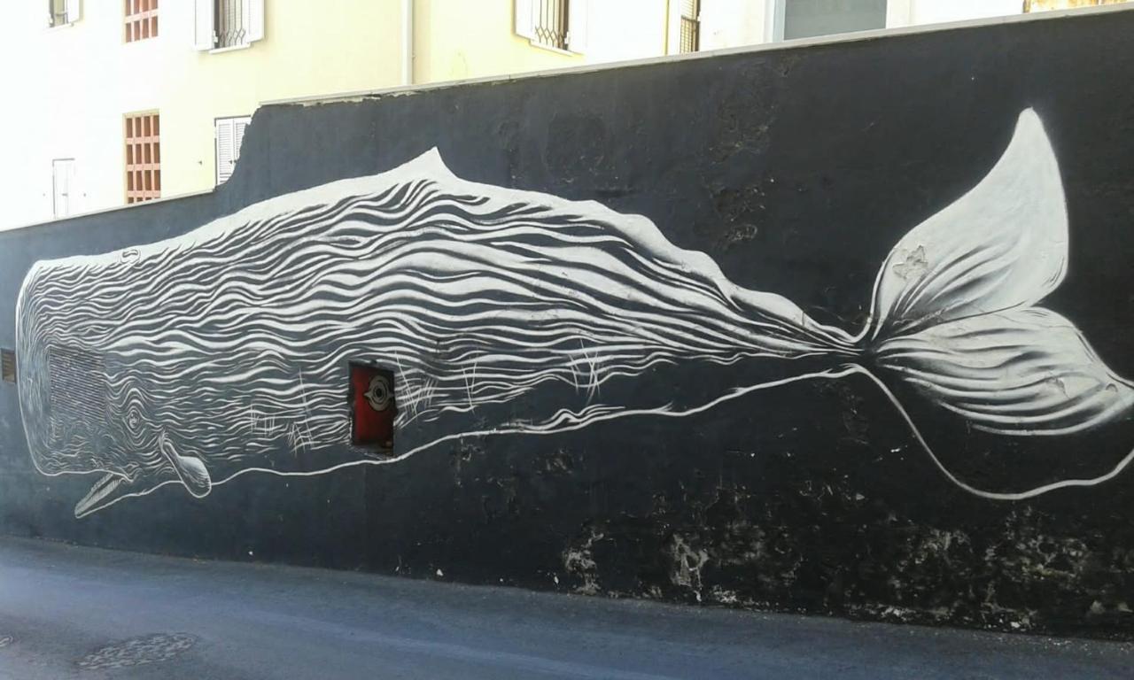 Bed & Breakfast Centre Urban Art *